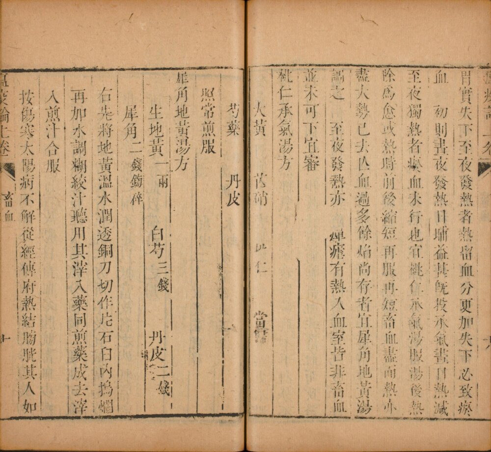 瘟疫论