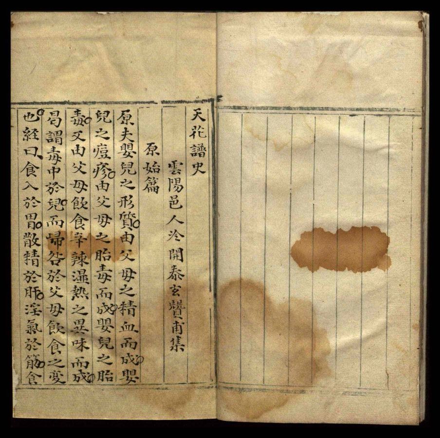 天花谱史