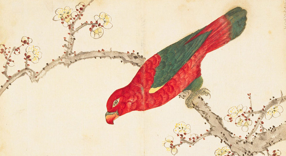 百花鸟图