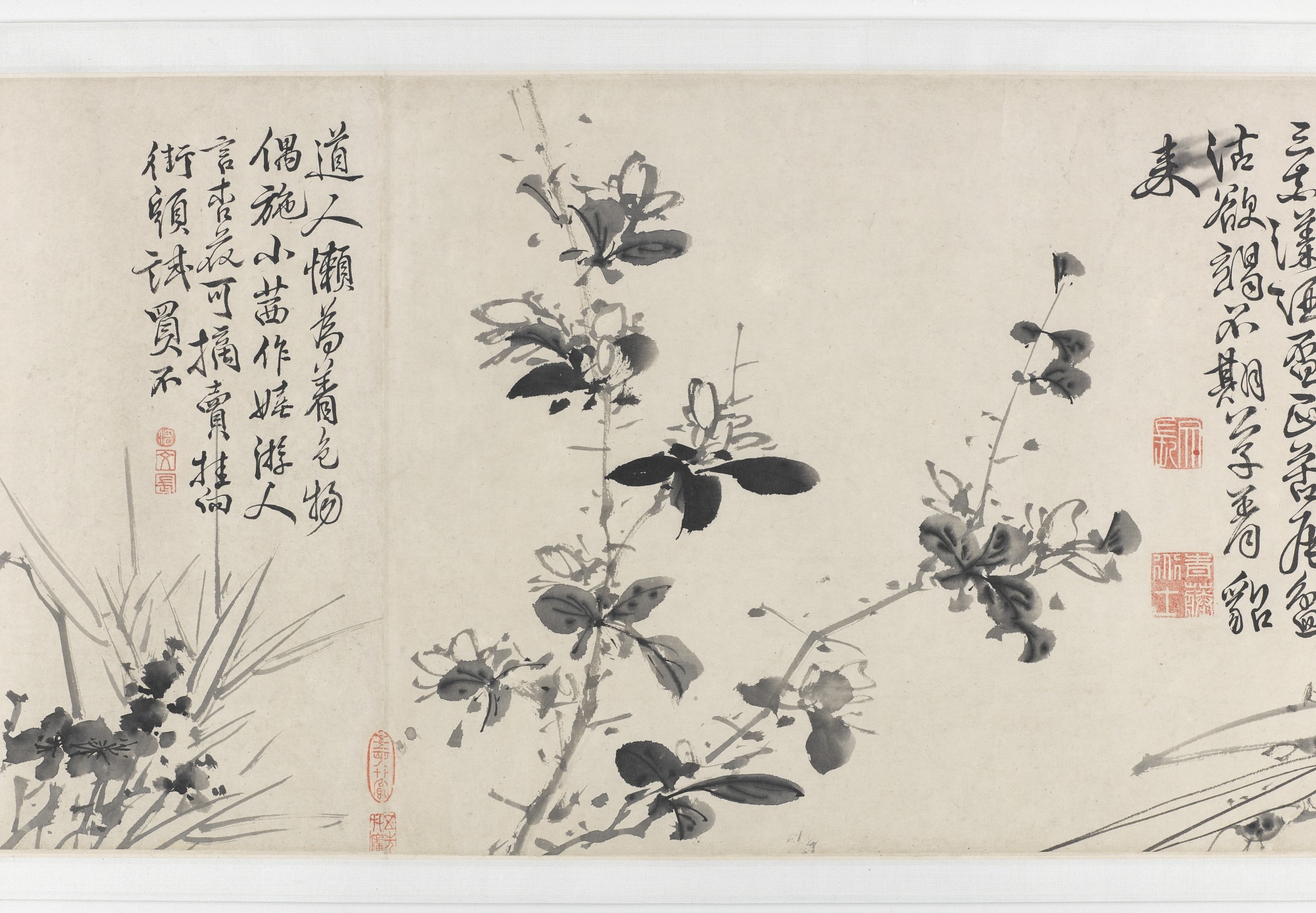 十二墨花诗画图卷