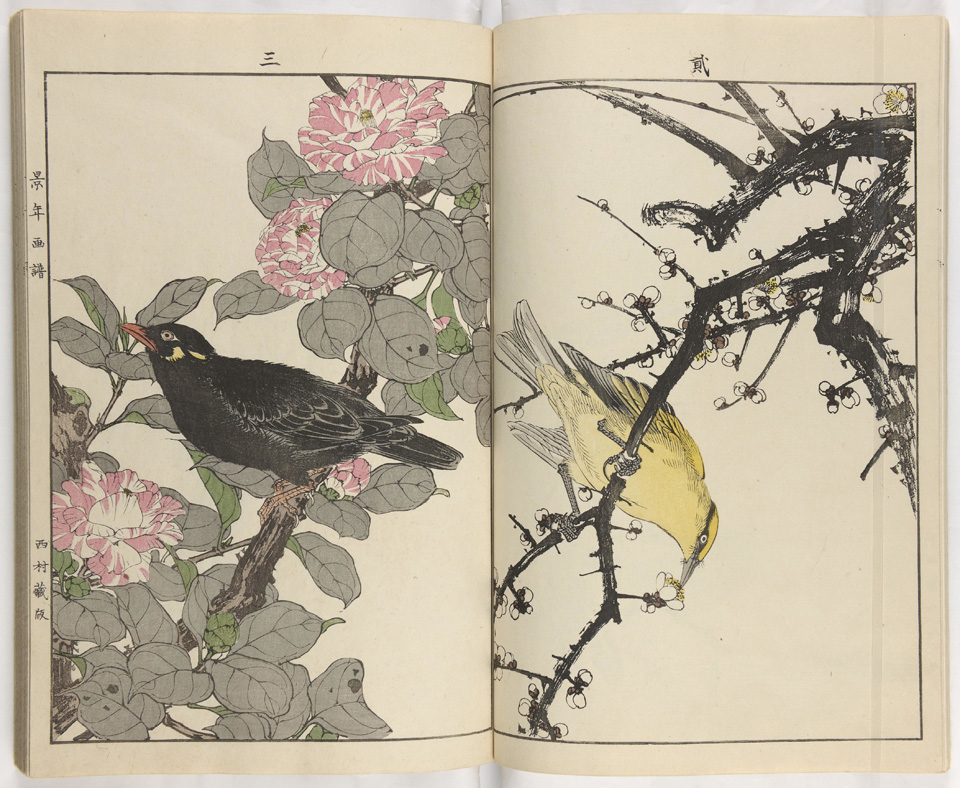 景年花鸟画谱|光明之门高清原版古籍在线阅读古籍在线图书馆 景年花鸟画谱|光明之门高清原版古籍在线阅读古籍在线图书馆