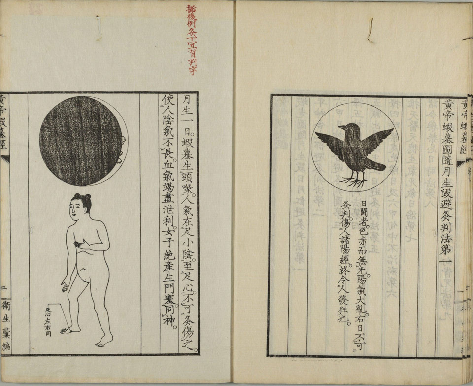 黄帝蝦蟇经