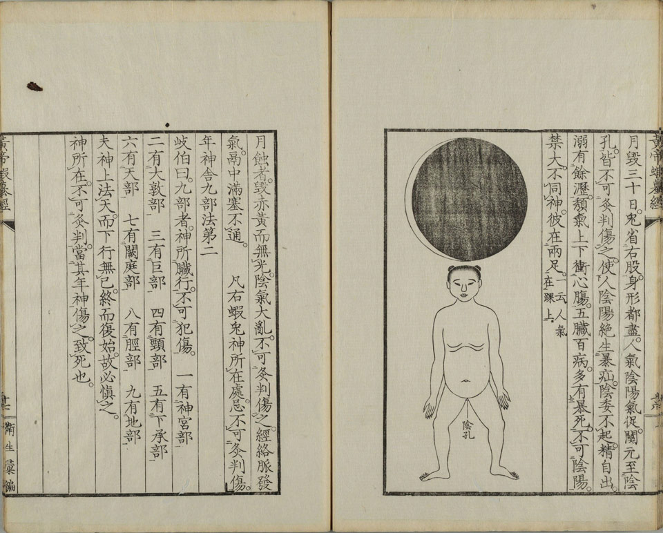 黄帝蝦蟇经