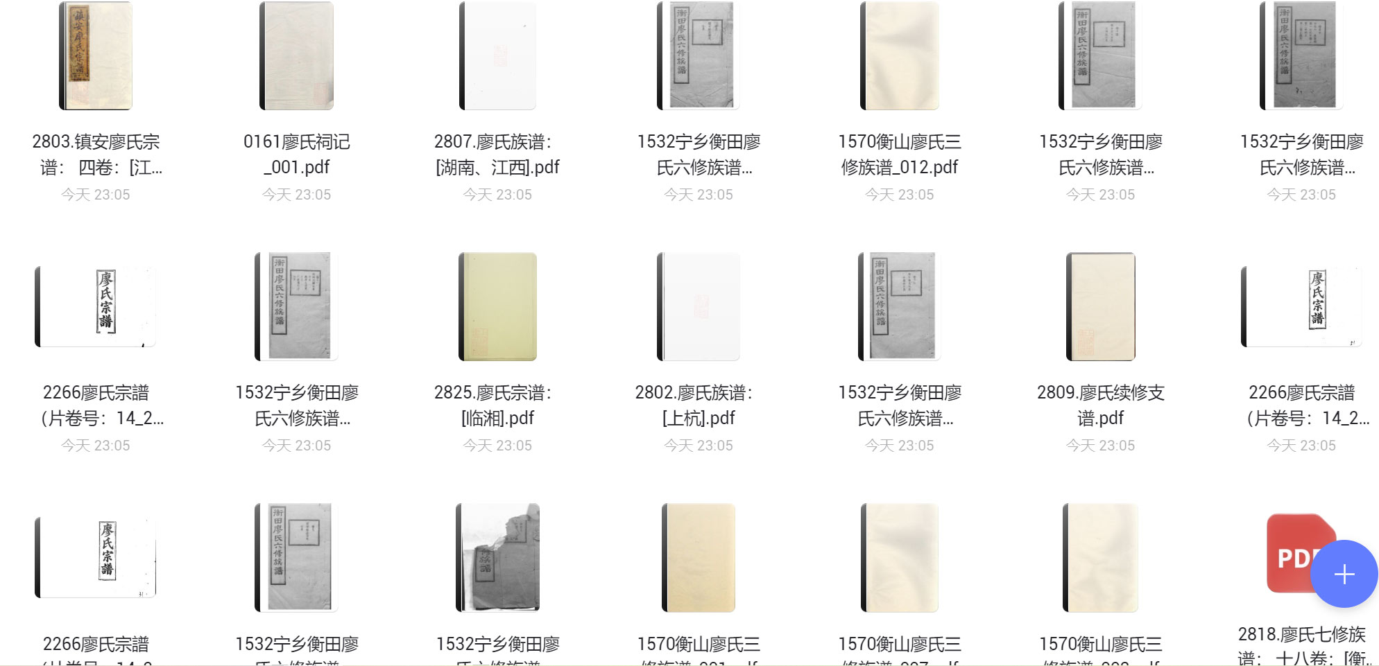 廖氏宗谱族谱家谱家乘