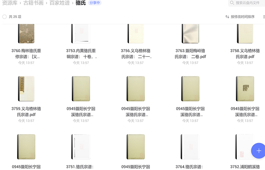 骆氏宗谱族谱家谱家乘