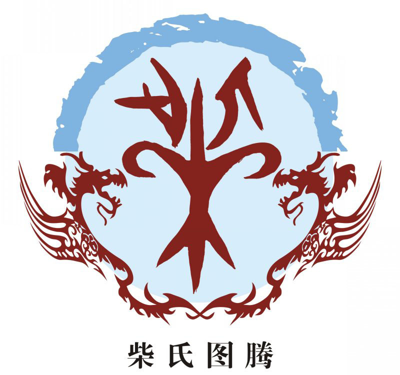 柴氏宗谱族谱家谱家乘