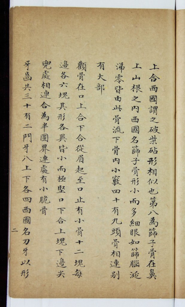 泰西人身说概